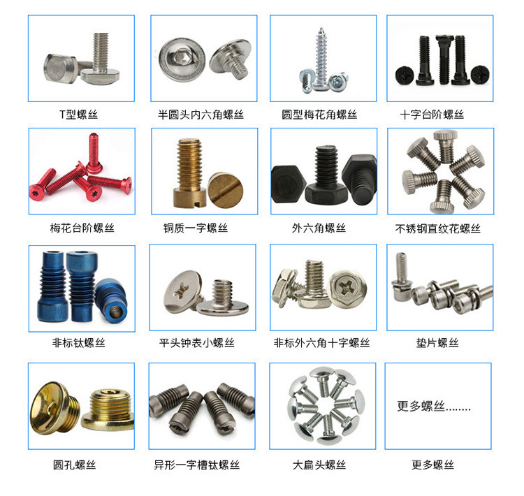 單頭雙工位鎖螺絲機(jī)10 單頭雙工位鎖螺絲機(jī)10